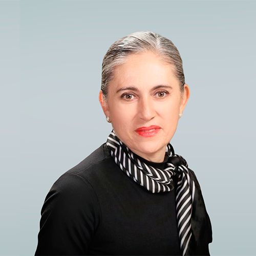 María del Carmen Palomino López María del Carmen Palomino López
